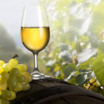 I migliori vini bianchi pregiati: quali sono i più ricercati